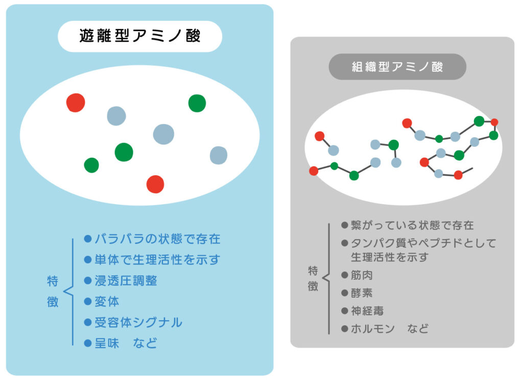 遊離型／組織型 アミノ酸 ① Dアミノ酸ラボ株式会社