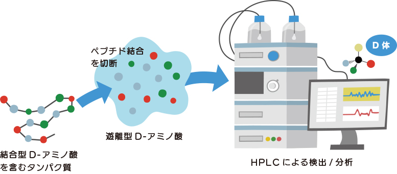 D-アミノ酸の分析方法　その３イメージ01