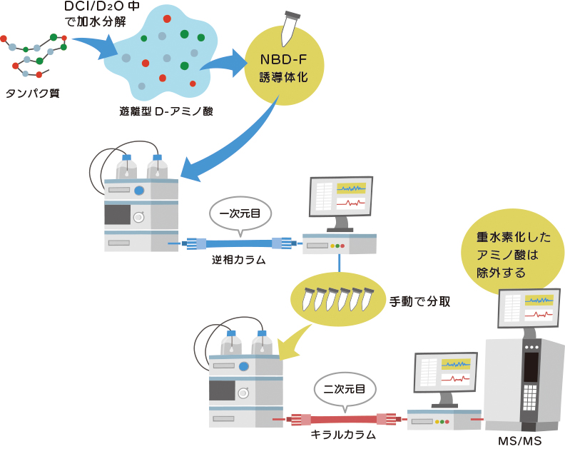 D-アミノ酸の分析方法　その３イメージ02