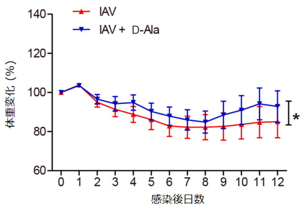 インフルエンザウイルス感染症モデルマウスの体重変化のグラフ（Dｰアラニンコラム）