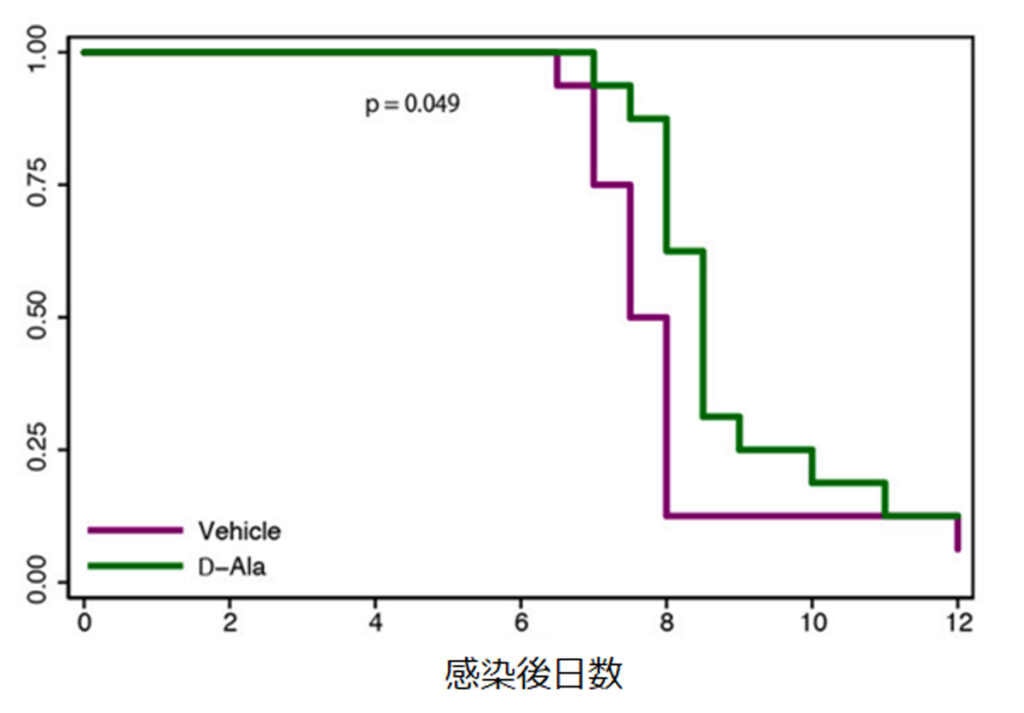 COVID-19モデルマウスの死亡率（D-アラニンコラム）