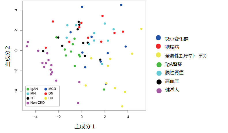 D-Serによる腎臓病の原疾患の主成分分析を用いての評価（D-セリンコラム）