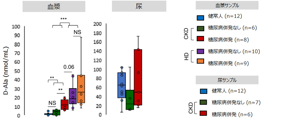 慢性腎臓病(CKD)患者、血液透析患者(HD)および健常人の血漿中および尿中の D-Ala レベルのグラフ（D-アラニンコラム）