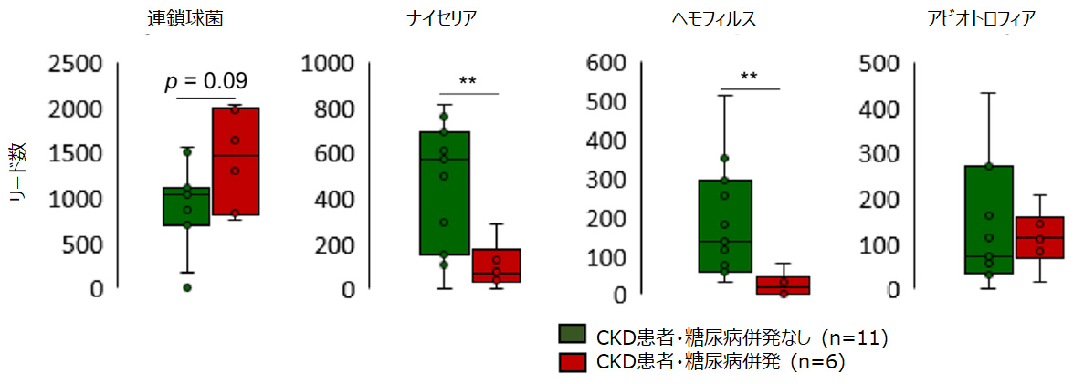 属レベルでのCKD 患者の口腔微生物叢の遺伝子解析グラフ（D-アラニンコラム）