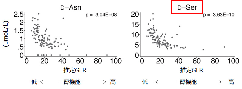 D-SerおよびD-Asnのレベルと推定糸球体濾過率（eGFR）との相関グラフ（D-セリンコラム）