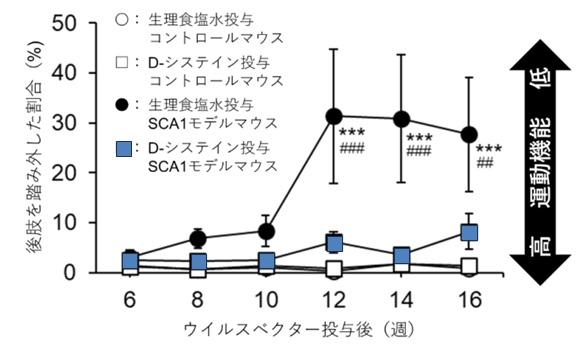 SCA1モデルマウス運動機能障害に対するD-Cysの効果グラフ