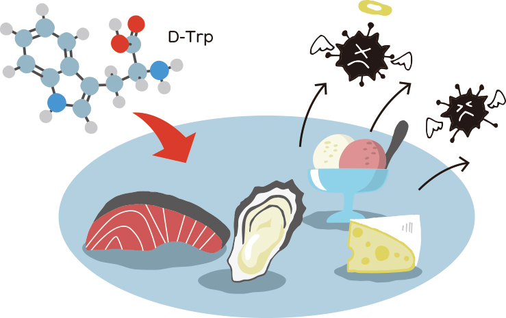 コラムD-トリプトファン（D-Trp）イメージ