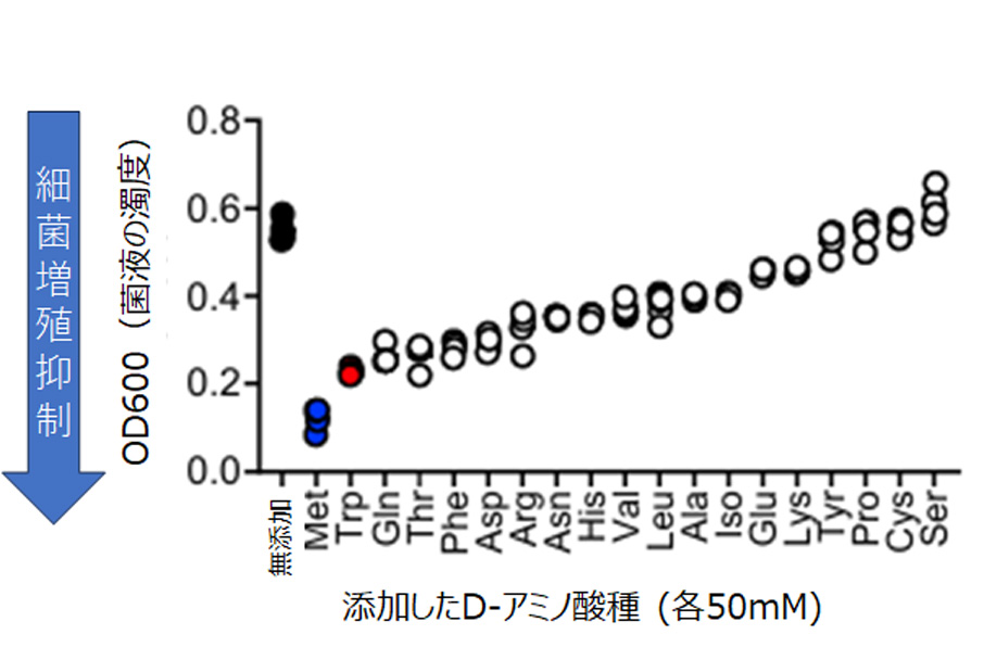腸管病原菌を各D-アミノ酸存在下で24時間培養した後のOD600値グラフ