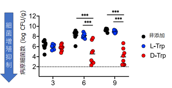 対照飼料または、L-TrpまたはD-Trpを添加を5%添加した飼料を与えたマウスに腸管病原細菌を感染させた後の、経時的な糞便中の病原菌数グラフ